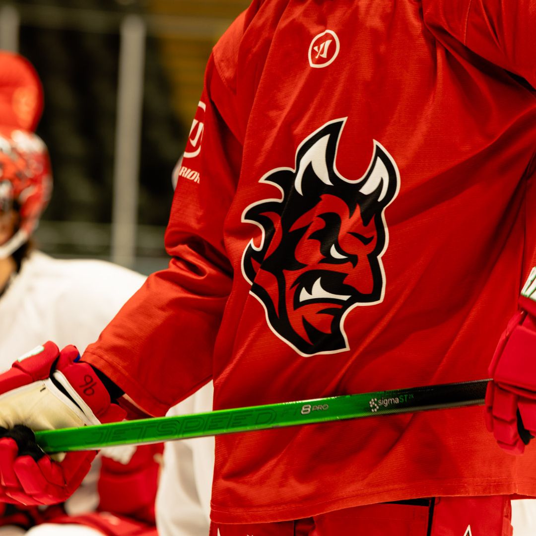 Cardiff Devils Ice Hockey