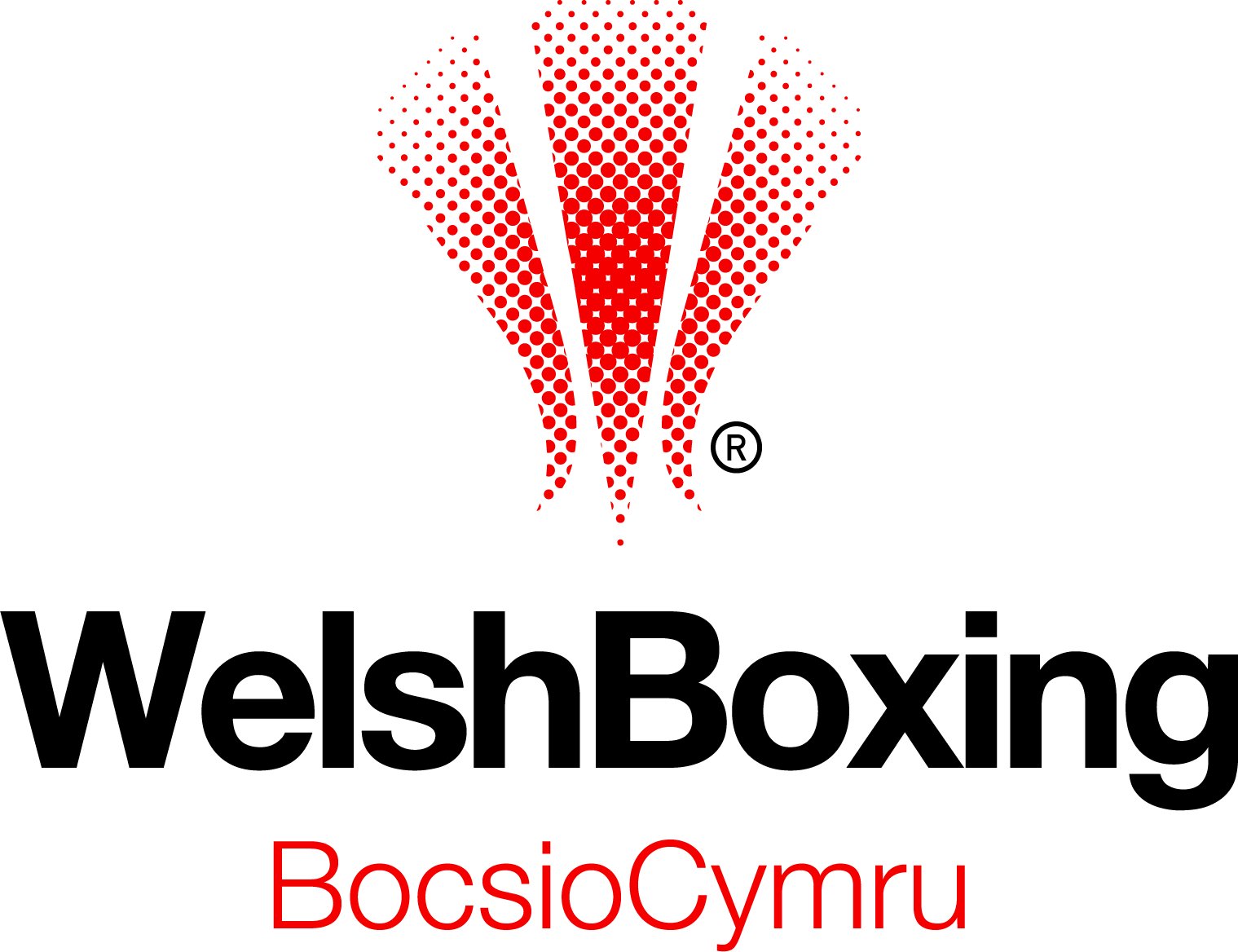 Welsh Boxing Logo